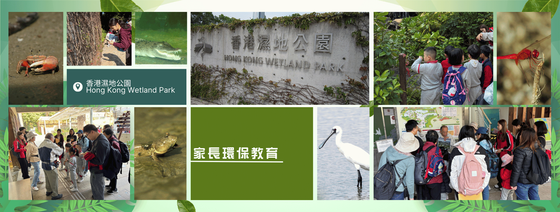 家長環保教育